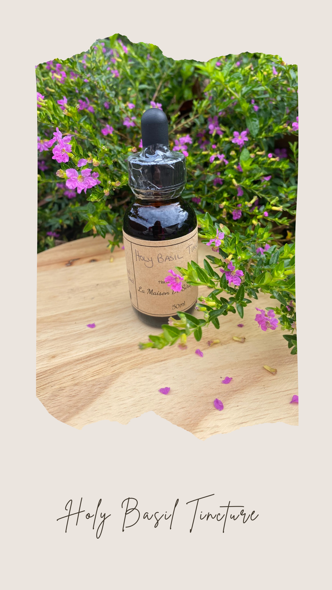 Holy(Tulsi) Basil Tincture - 50ml