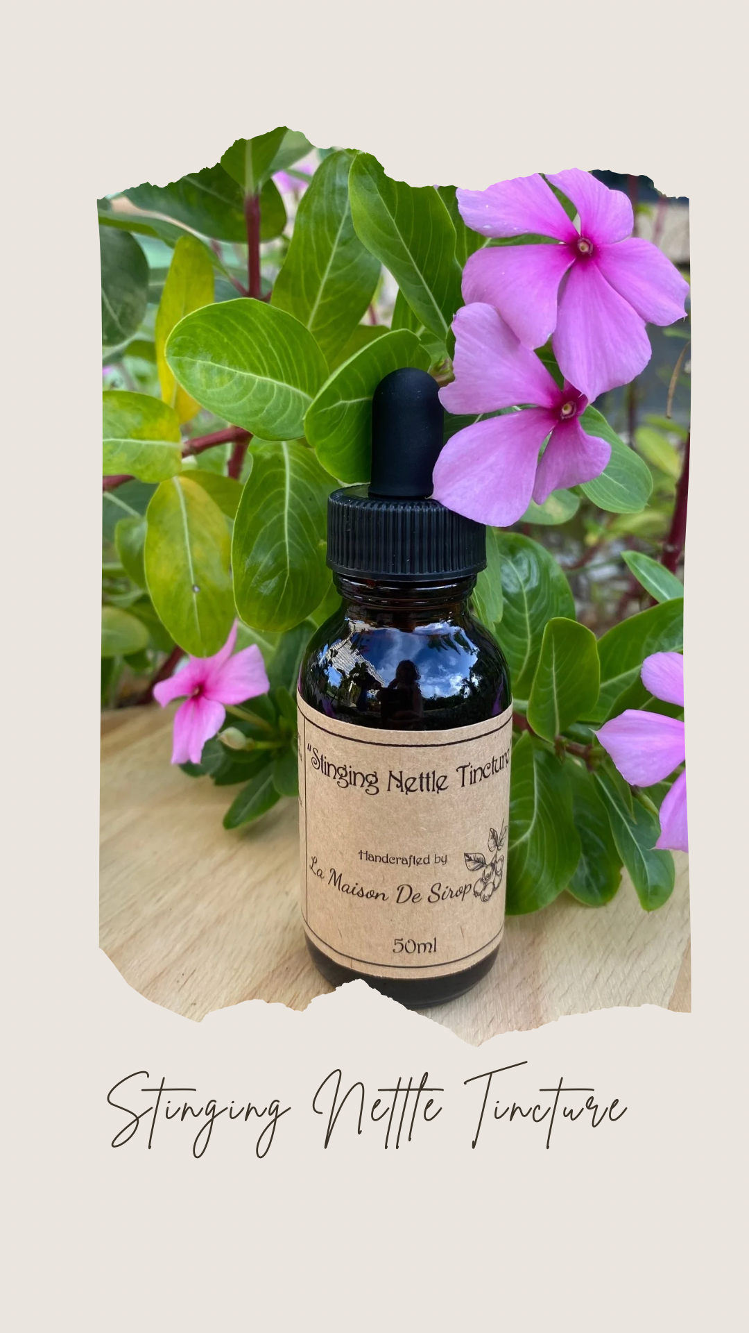Stinging Nettle Tincture - 50ml