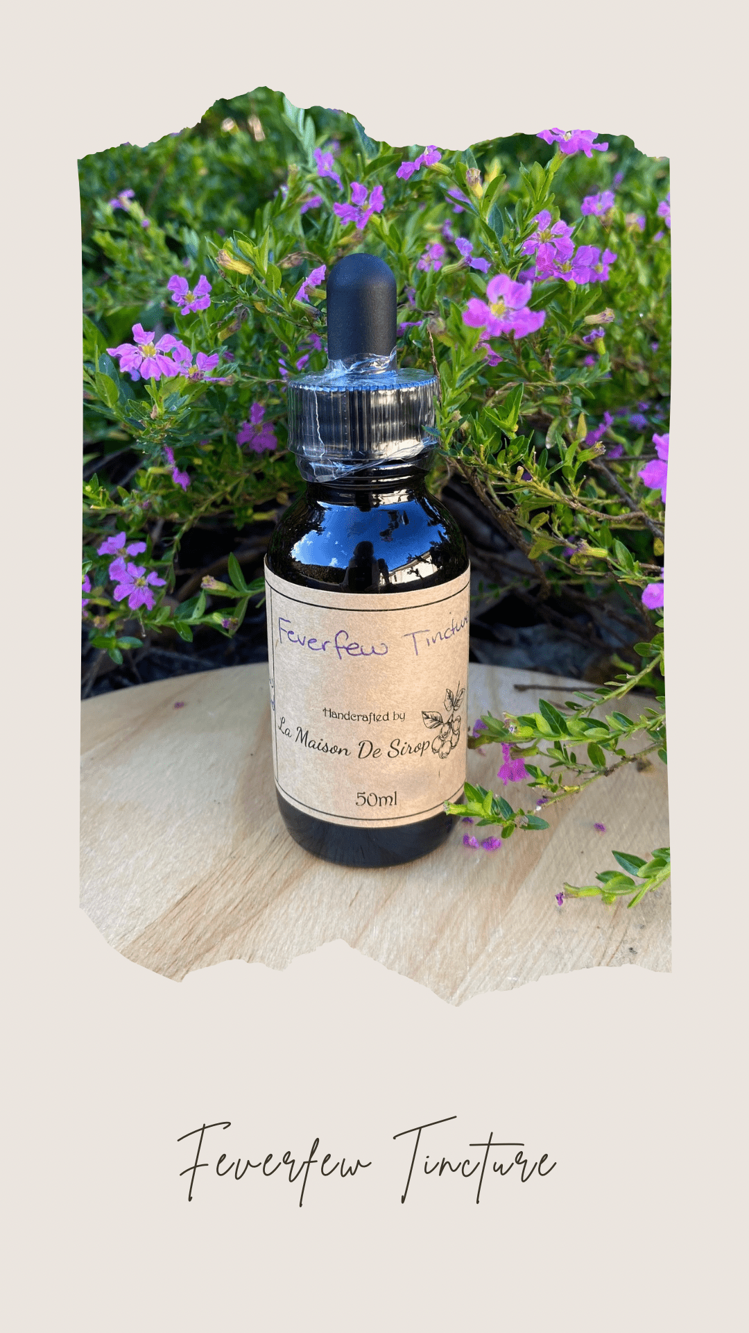 Feverfew Tincture - 50ml - La Maison De SiropFeverfew Tincture - 50ml