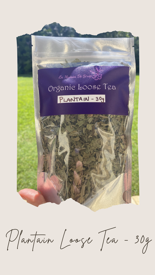 Loose Dried Herbs - Body & Immunity — Immune, Inflammation, Recovery, Detox