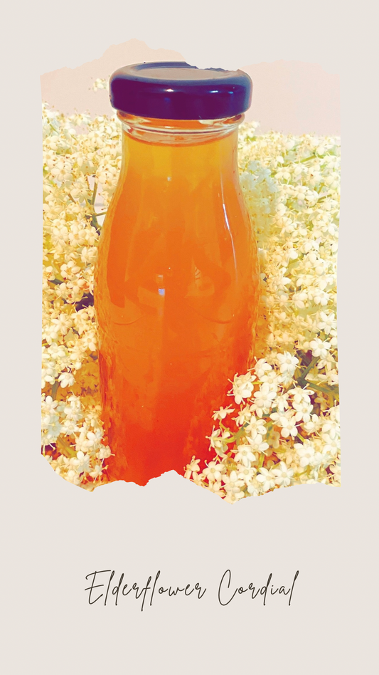 Elderflower Cordial - 250ml