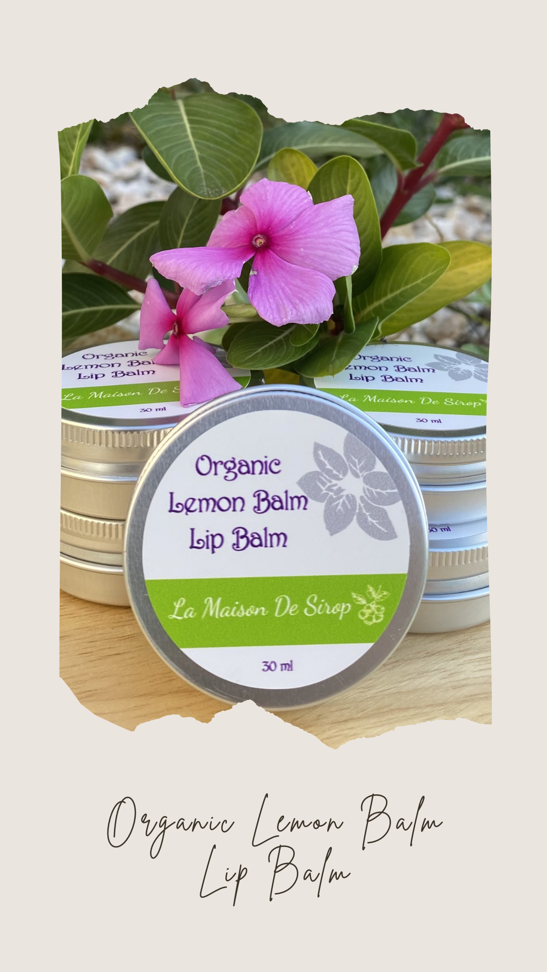 Lemon Balm Lip Balm