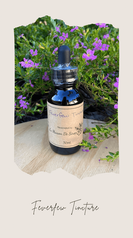 Feverfew Tincture - 50ml - La Maison De SiropFeverfew Tincture - 50ml