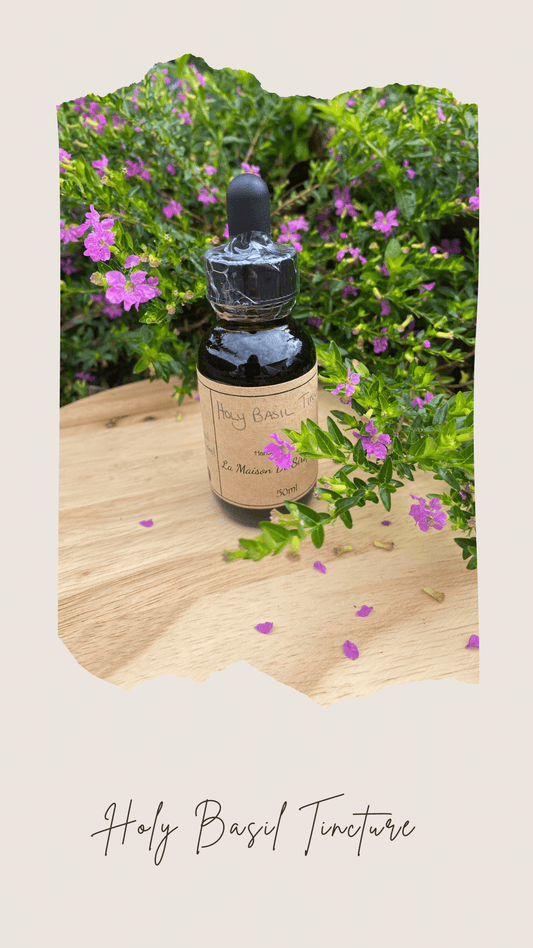 Holy(Tulsi) Basil Tincture - 50ml - La Maison De SiropHoly(Tulsi) Basil Tincture - 50ml