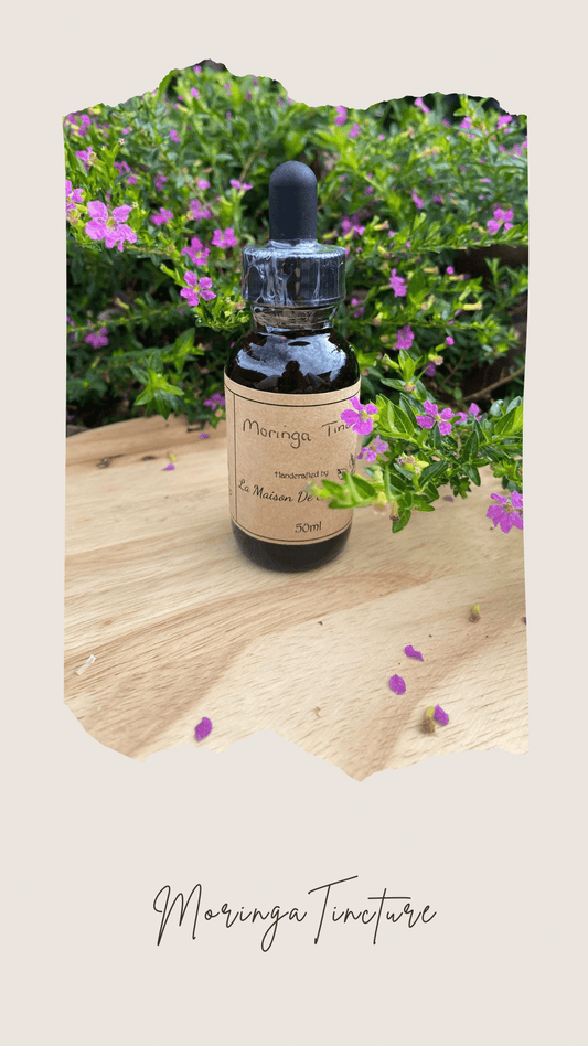 Moringa Tincture - 50ml - La Maison De SiropMoringa Tincture - 50ml